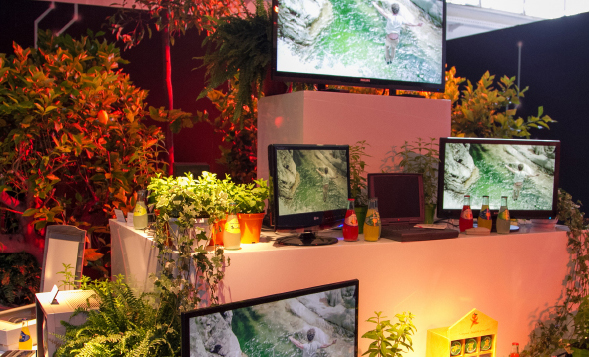 piante video evento
